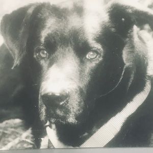 Meet your Posher, Charla